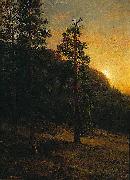 Albert Bierstadt California Redwoods painting